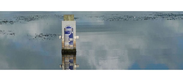 waterschap d (620x195)